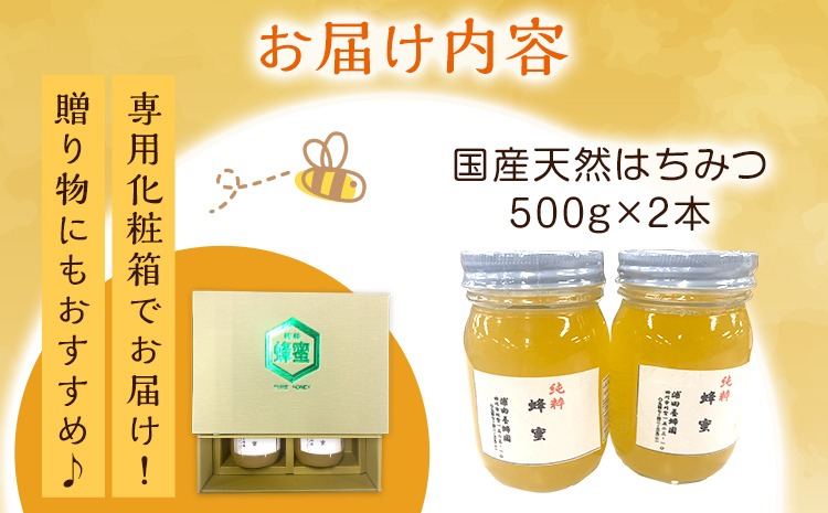 はちみつ 国産 蜂蜜 ハチミツ 1kg 国産 天然 はちみつ 500g×2本 計1kg