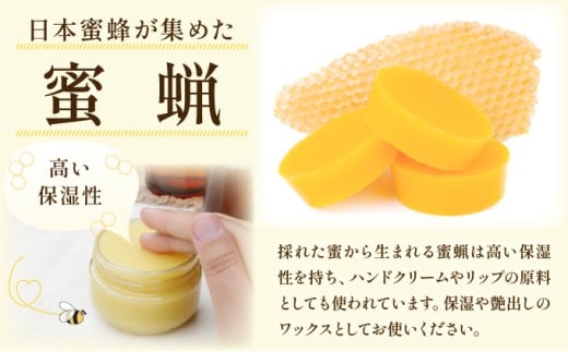内容量が選べる】日本蜜蜂の純粋はちみつ 500g～600g または 日本蜜蜂