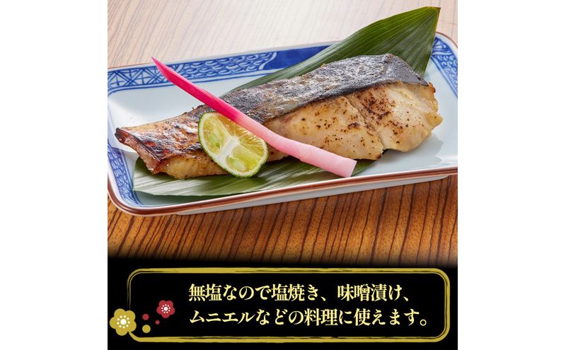 さわら切り身 1kg 真空パック入 魚貝類 加工食品 冷凍 焼くだけ 簡単