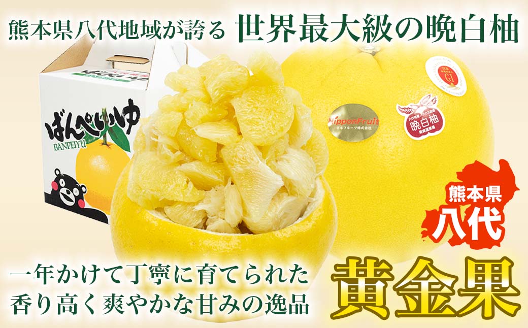 先行予約】 晩白柚 ばんぺいゆ Lサイズ 3玉 約4.5kg 果物 果実