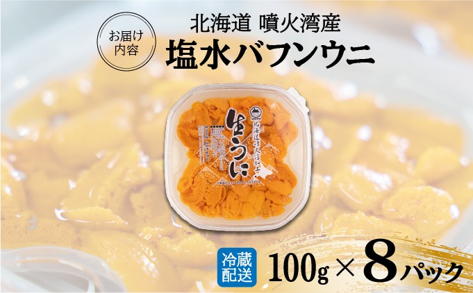 北海道 噴火湾産 塩水 バフンウニ 100g 8パック 計800g うに ウニ 雲丹