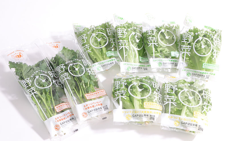 野菜セット フリルレタス グリーンリーフレタス ケール 7p 水耕栽培 葉