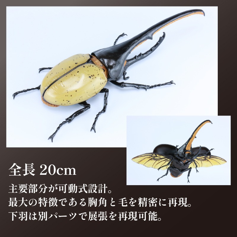 30c033f9-52c1-4a77-a250-