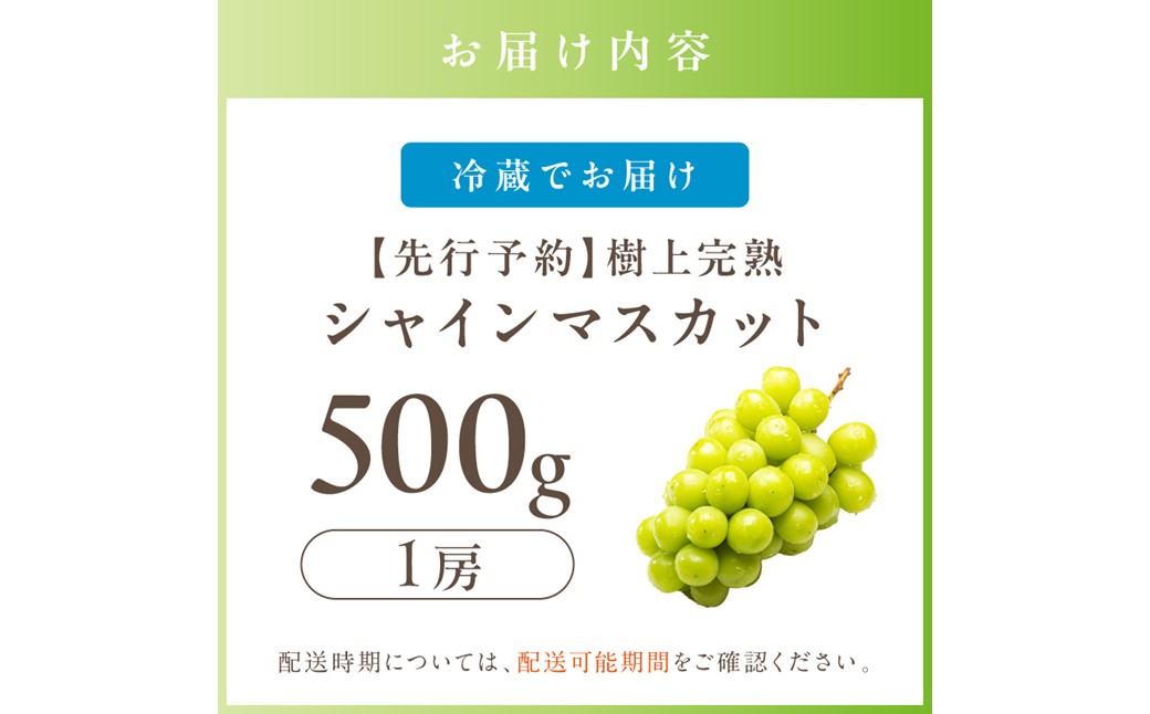 先行予約】樹上完熟 シャインマスカット 500g（1房）（2026年9月中旬
