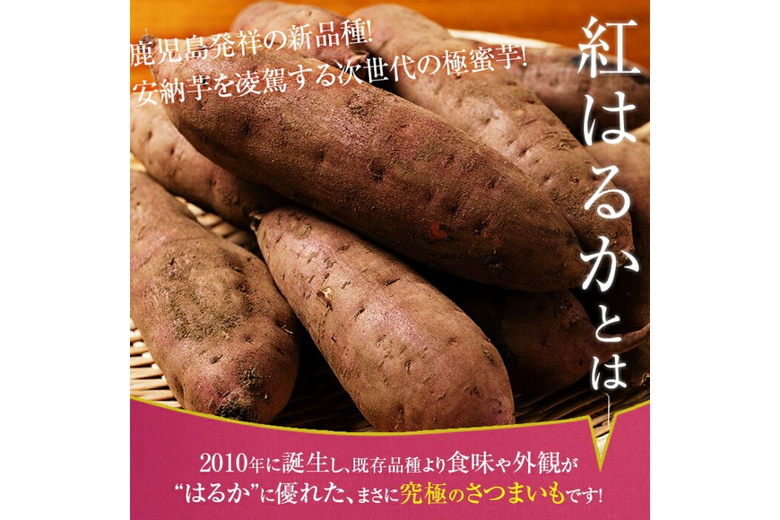 a174 畑の金貨・紅はるか4kg(生芋)【甘いも販売所】姶良市 国産