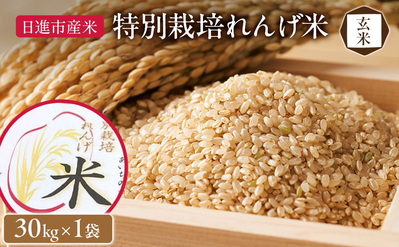 レンゲ米 朝日米玄米20キロ 【公式通販】
