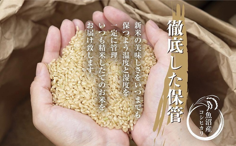 定期便】新潟県 魚沼産 コシヒカリ お米 20kg×計12回 精米済み 年間