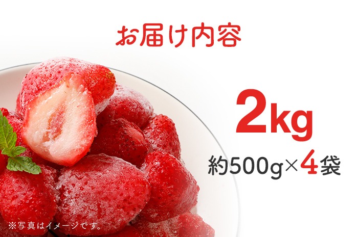 いちごめろんさま専用 福岡県産 いちご あまおう DX等級 平詰め 約300g（6〜12粒前後入