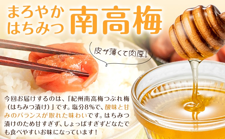 紀州南高梅 つぶれ梅 はちみつ漬 塩分8％ 1パック400g 選べる内容量 3