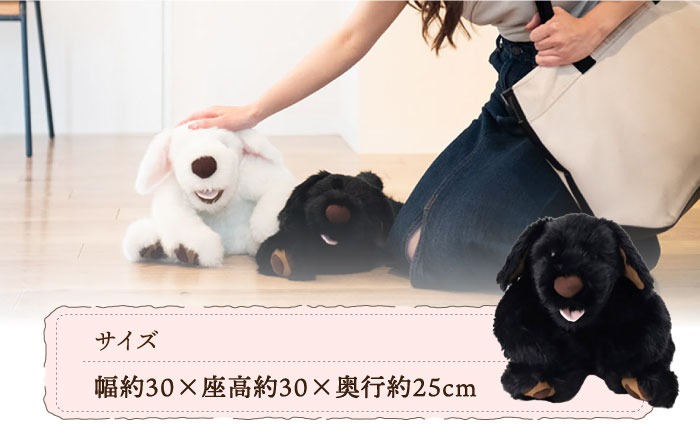 犬型セラピー？！ロボット？パトランの黒（通称：クロラン） 犬