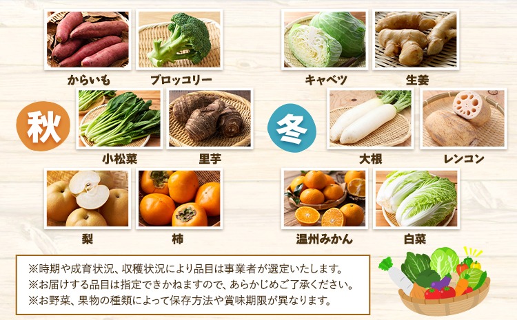 6ヶ月定期便】旬の野菜・果物詰め合わせセット 8-12品 氷川町産 道の駅