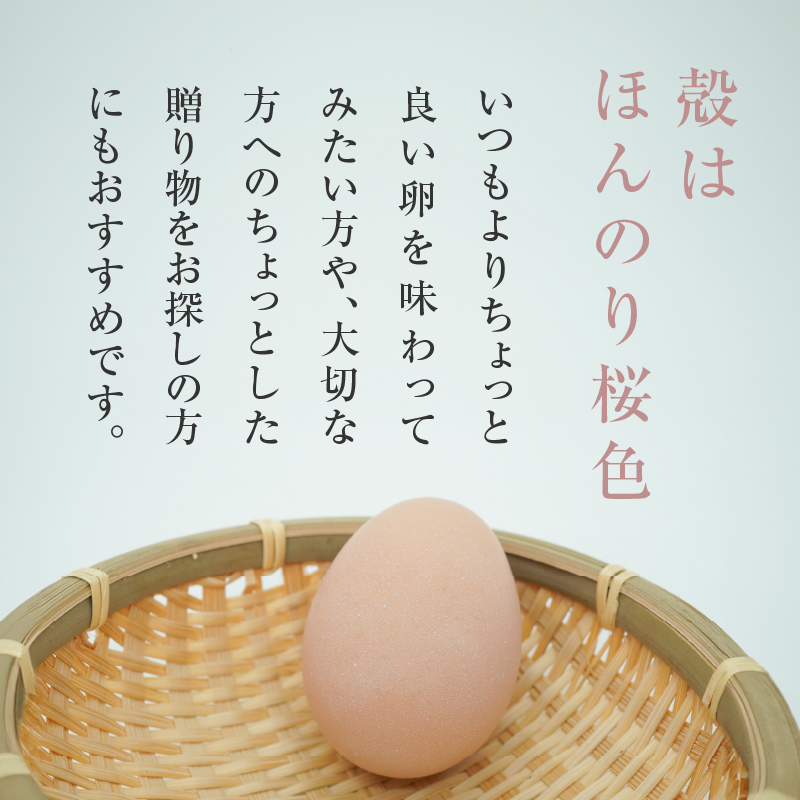 医師監修】野菜を食べて育った平飼いの卵「名古屋コーチン ベジたま