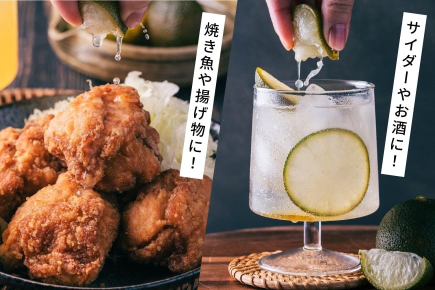 へべす 果汁 HEBESU 100％ストレートへべす果汁(150ml×3本) [ひむか