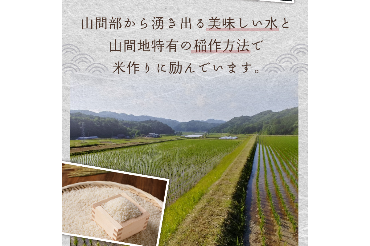 2026年産 京都・久美浜三谷産 丹後コシヒカリ「三谷幸米」 玄米 30kg