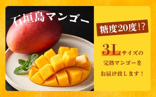 摘果マンゴー　7キロ 摘果マンゴー7kg - メルカリ
