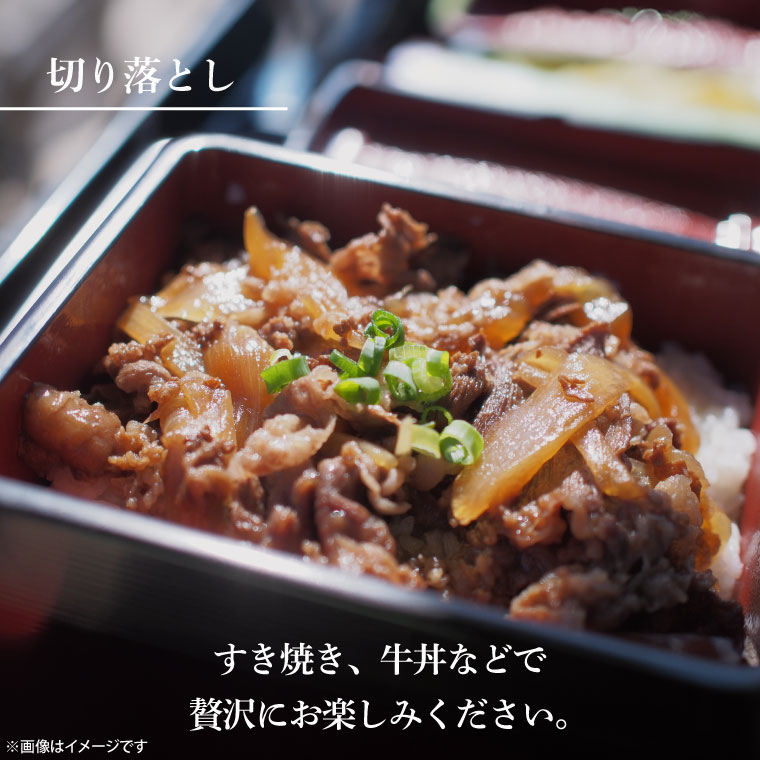 定期便特別価格】【6回定期便】最高級A4.A5ランク 常陸牛バラエティ