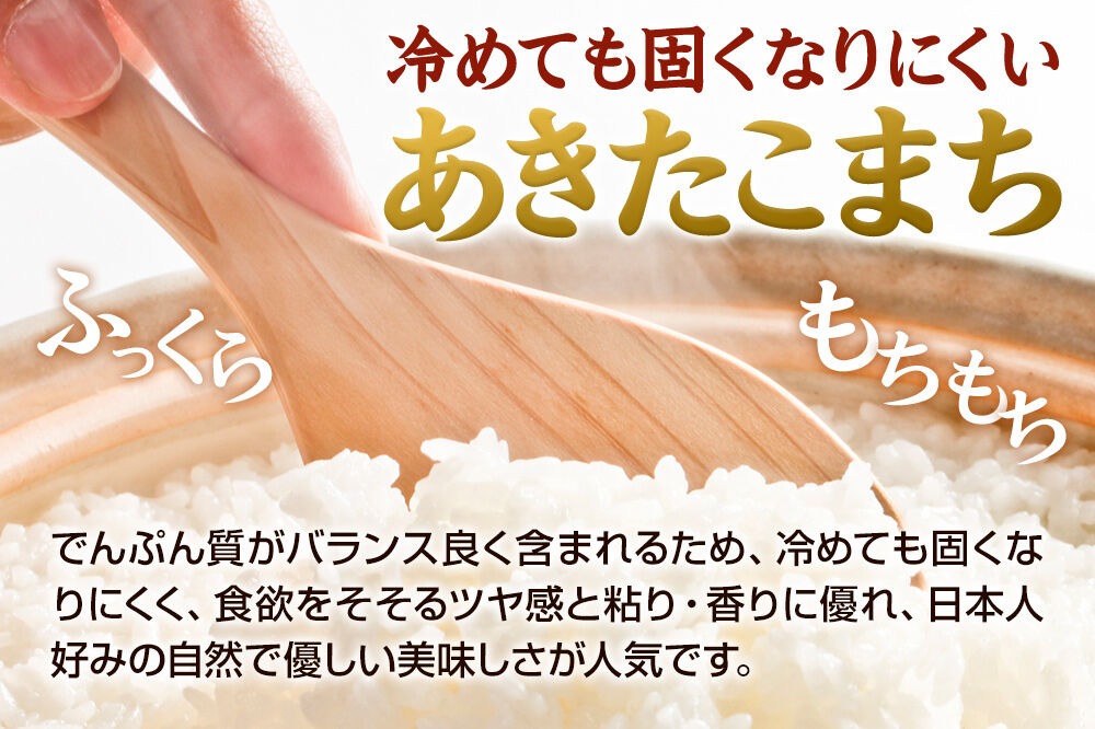 令和8年産 新米受付》【白米】秋田県産 あきたこまち 10kg（5kg×2袋
