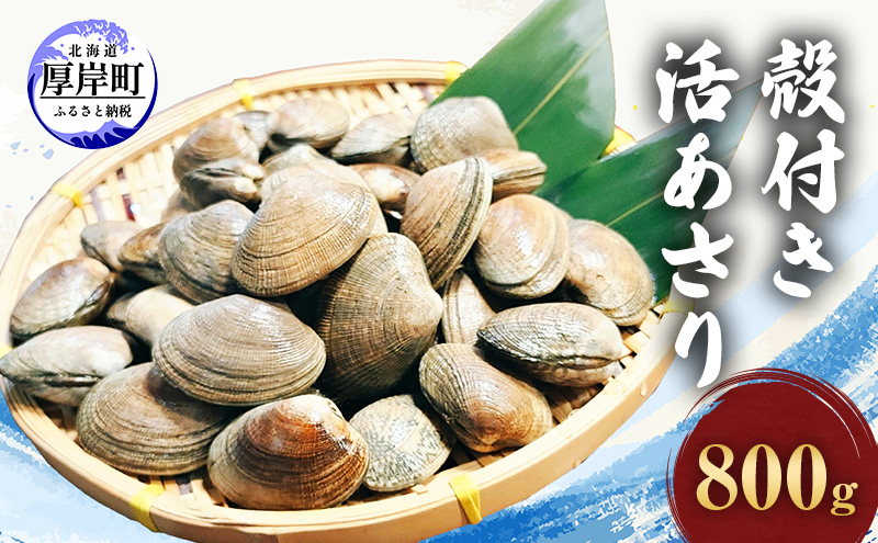 北海道産 冷凍あさり 800g（160g×5p）砂抜き・洗浄済 最短翌日発送 北海道