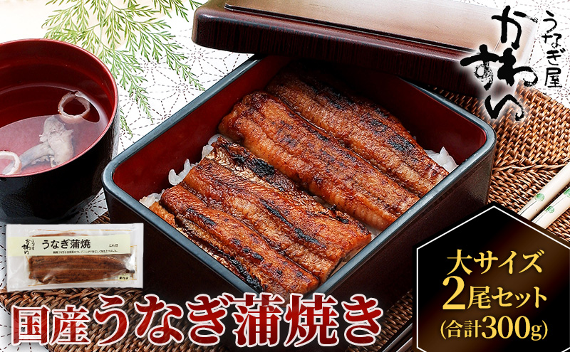 国産うなぎ 蒲焼き 大サイズ 2尾セット(合計300g) タレ付き 国産