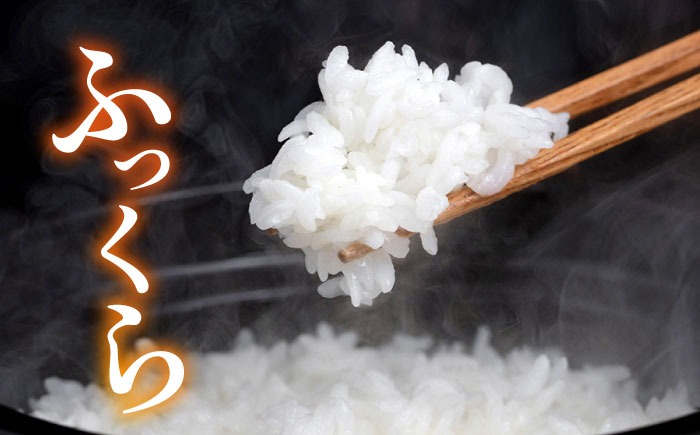 糸島産 ヒノヒカリ 20kg 糸島市 / 平山農園 米 白米 米 白米 ご飯 お米