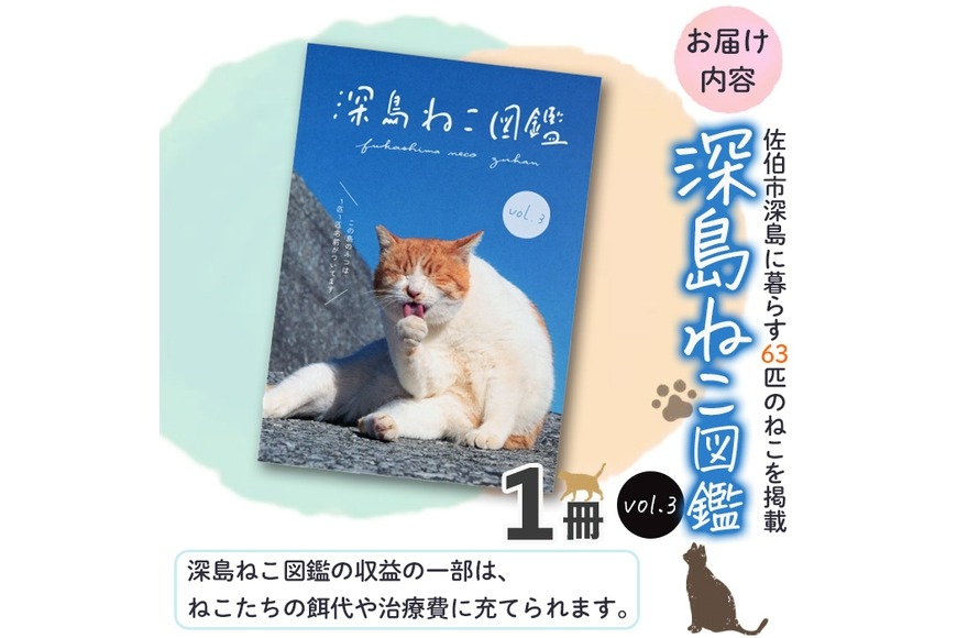 猫の洋書　3冊セット 33567419-d14e-43cb-85c2-