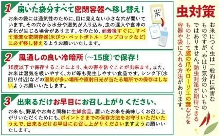 訳あり 米 ごまんえつ米 20kg 米 こめ 無洗米 家庭用 熊本県 長洲町