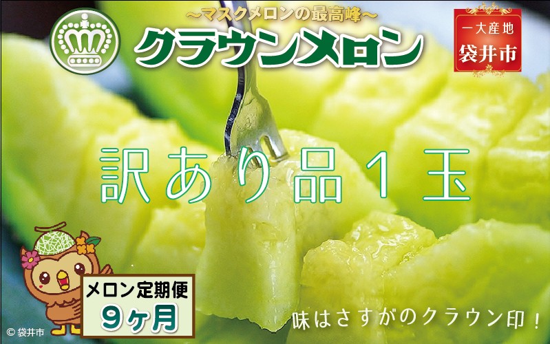 9ヶ月定期便】クラウンメロン（訳あり）1玉入 メロン デザート グルメ