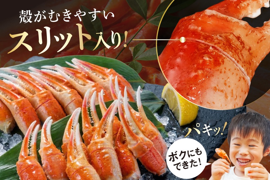 リピーター続出！ 本ずわいがに爪 約700g [カネダイ 宮城県 気仙沼市