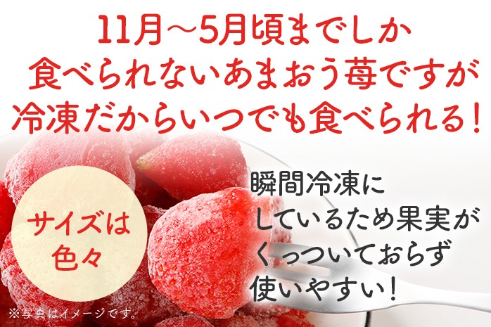 福岡県産【博多冷凍あまおう】 約1kg 産地直送 産直 朝採れ 朝採り