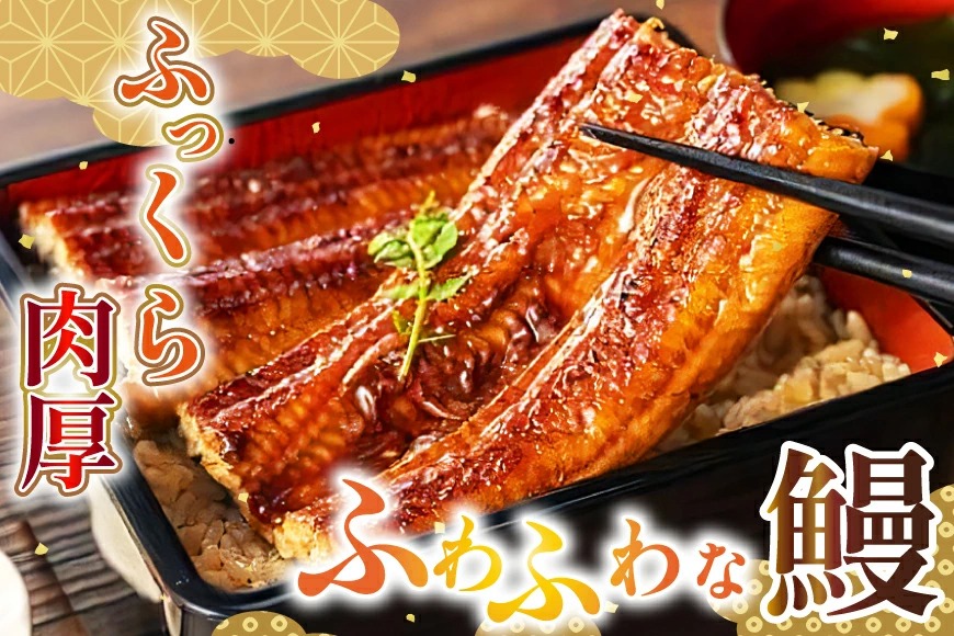 ゆうなぎ うなぎ 蒲焼 特大サイズ 肉厚 約 1.5kg 4尾 タレ・山椒付 茶葉