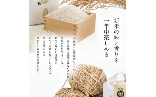 令和8年産 特Aランク米 ゆめぴりか 精米 20kg（5kg×4袋）【2月発送】雪