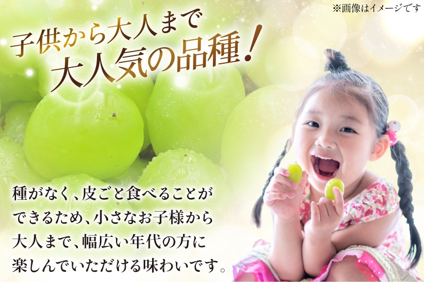 35609228-2493-42c3-8f22-