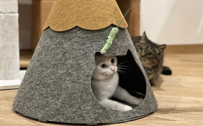 ねこハウスにゃろにも 黄×グレー 高さ58cm 猫 ネコ インテリア
