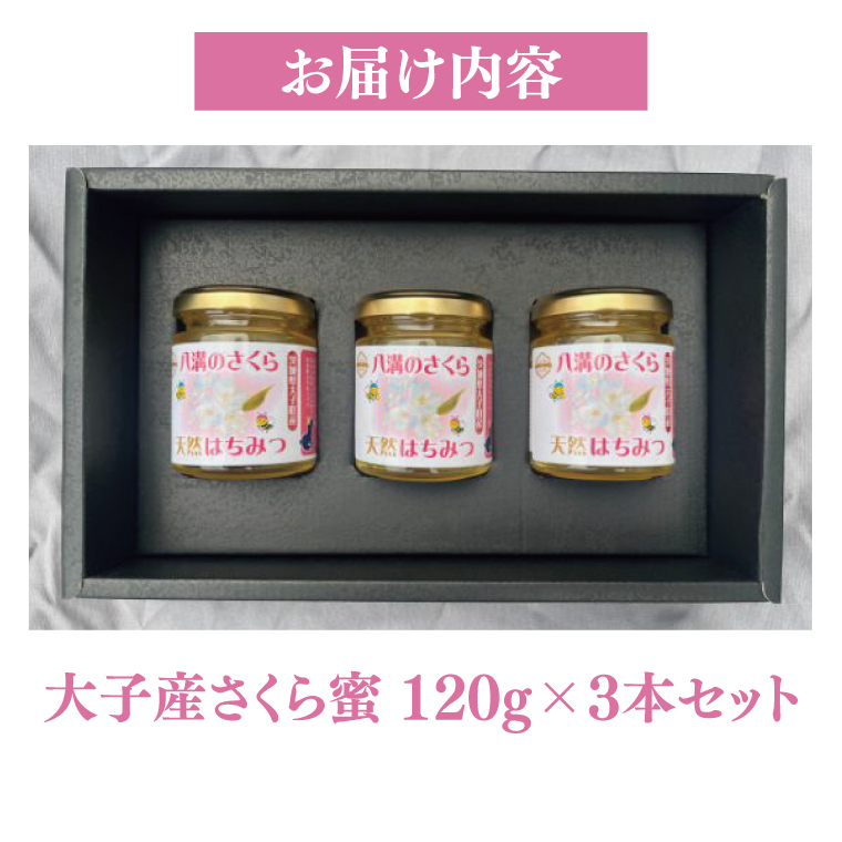 2026年10月～2027年4月発送】天然はちみつ【大子のさくら蜜 120g×3本