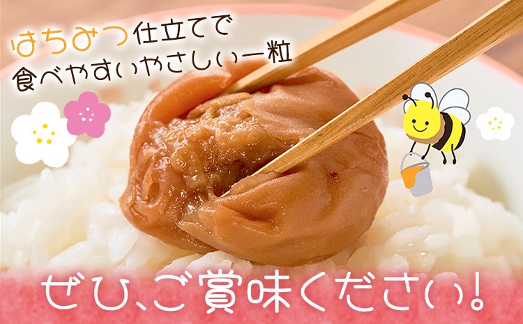 紀州南高梅 つぶれ梅 はちみつ漬 塩分8％ 1パック400g 選べる内容量 3
