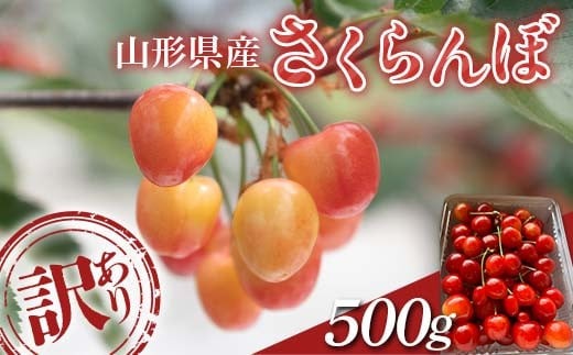 FYN6-050 ≪2027年先行予約≫加工用 山形県産 品種おまかせ さくらんぼ