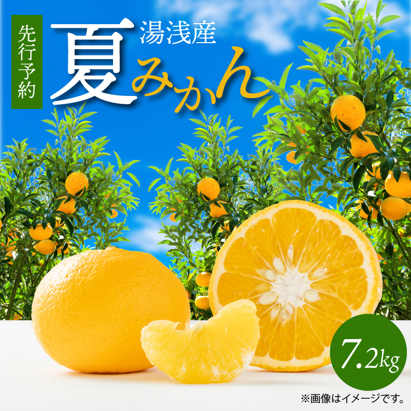 2027年先行予約】湯浅産 夏みかん 7.2kg_G7074（和歌山県有田郡湯浅町