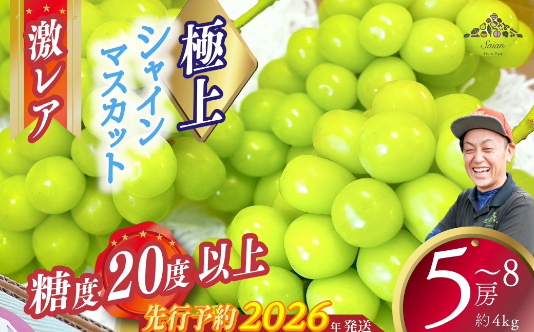 2026年発送分 先行予約】激レア【糖度20度以上】極上シャイン