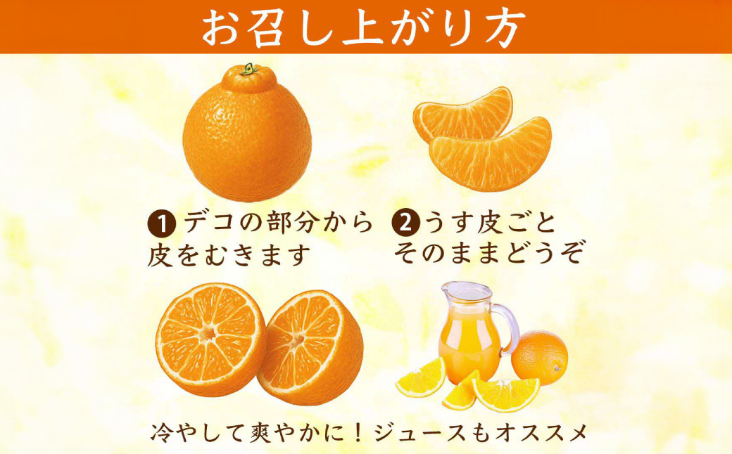 先行予約】 不知火 デコみかん (デコポン同品種) 約2kg (5～9玉