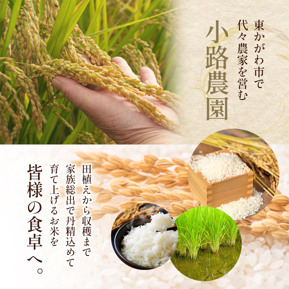 令和8年産 新米「コシヒカリ」30kg（玄米）お米 30kg （香川県東かがわ