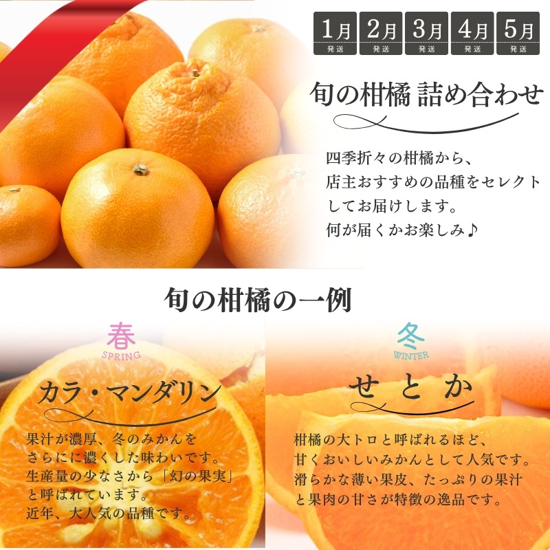 みかん【全10回】 柑橘 定期便 石本果樹園 店主おすすめの柑橘セットを