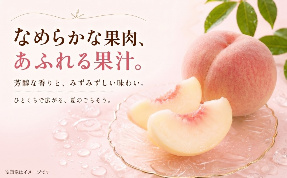 FB001 【2026年 先行予約】日本一の産地山梨県産 朝採れ桃約2kg(5