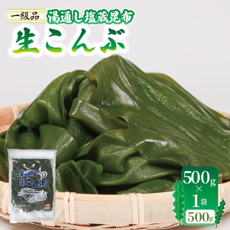 生こんぶ 500g×1袋 こんぶ 昆布 コンブ 三陸 国産 岩手県 大船渡