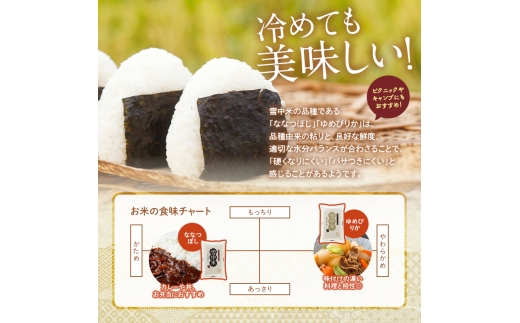 令和8年産【定期便6ヶ月】ななつぼし 精米 20kg（5kg×4袋） 【2月発送