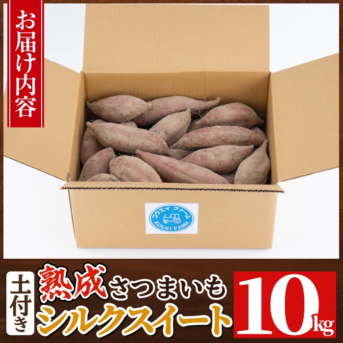 a845 《種類・内容量が選べる》鹿児島県産さつまいも土付き5～10kg