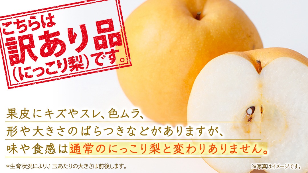 訳あり ＞ にっこり 約5kg 【2026年10月より発送開始】（茨城県共通返