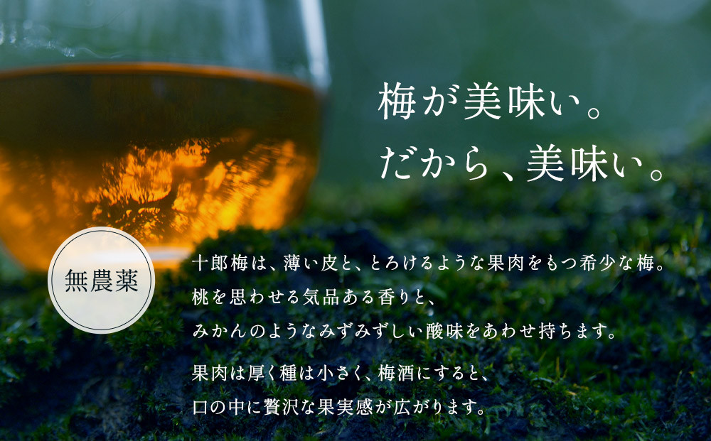 小田原・曽我の最高傑作「十郎梅」使用梅酒】THE HEALING LIQUEUR SOGA