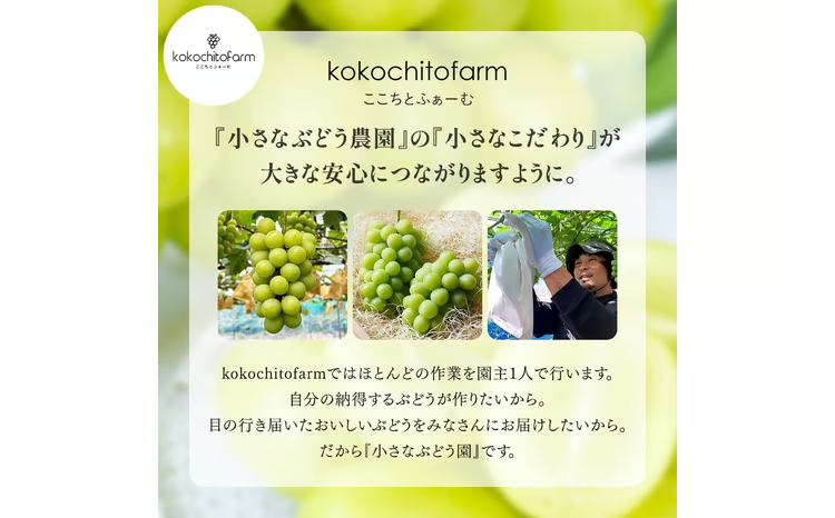 2026年先行予約】 小さなぶどう園の シャインマスカット ご家庭用 2～3