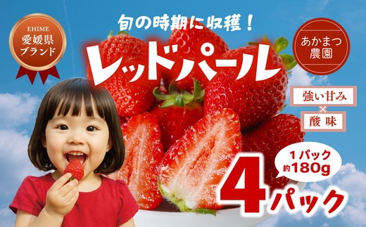 2026年春収穫分】【先行予約】レッドパール 4パック（約720g