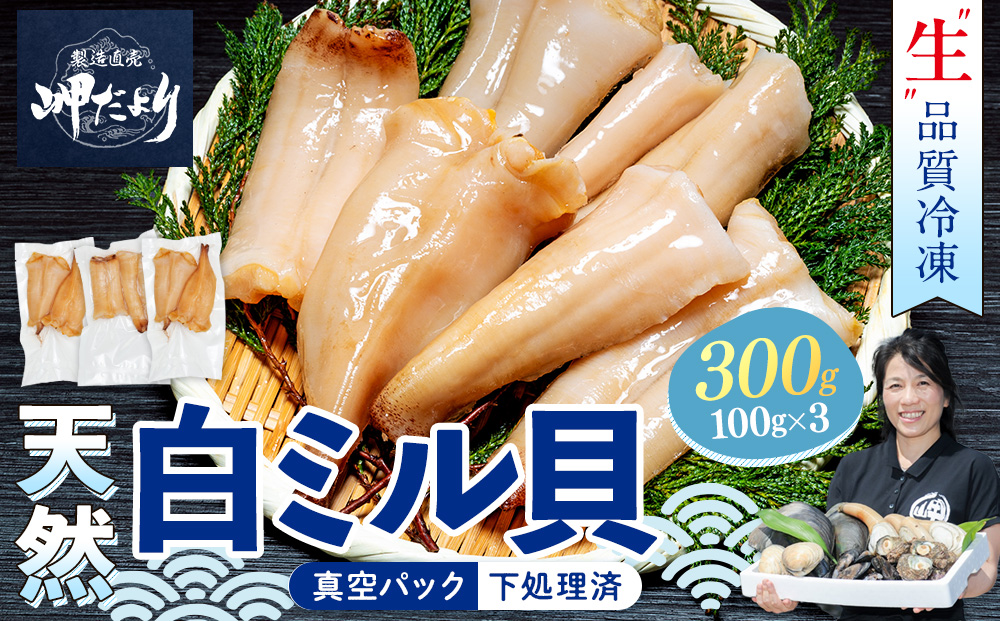 岬だより ＜貝専門店＞ 天然 白ミル貝 100g × 3袋 冷凍 新鮮 海鮮 鮮度